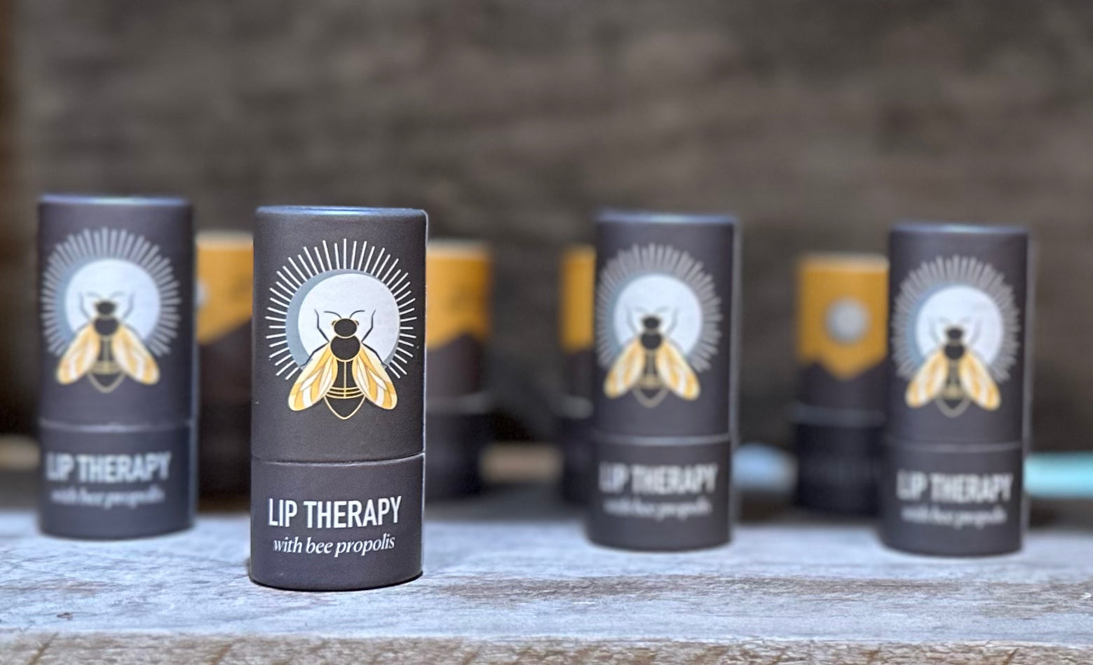 Lip Therapy (wholesale, 12 pack)