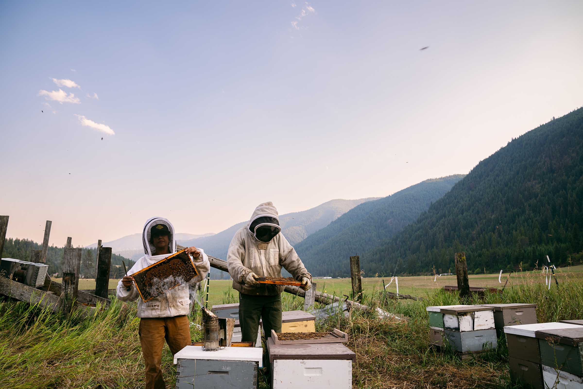 beekeepers-in-montana.jpg
