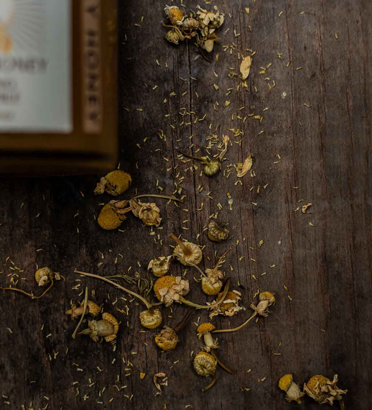chamomile-herbal-herbs.jpg