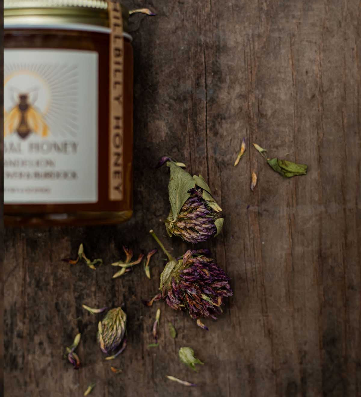dandelion-red-clover-herbs.jpg