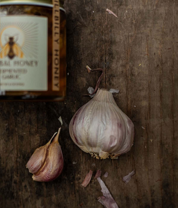Garlic
