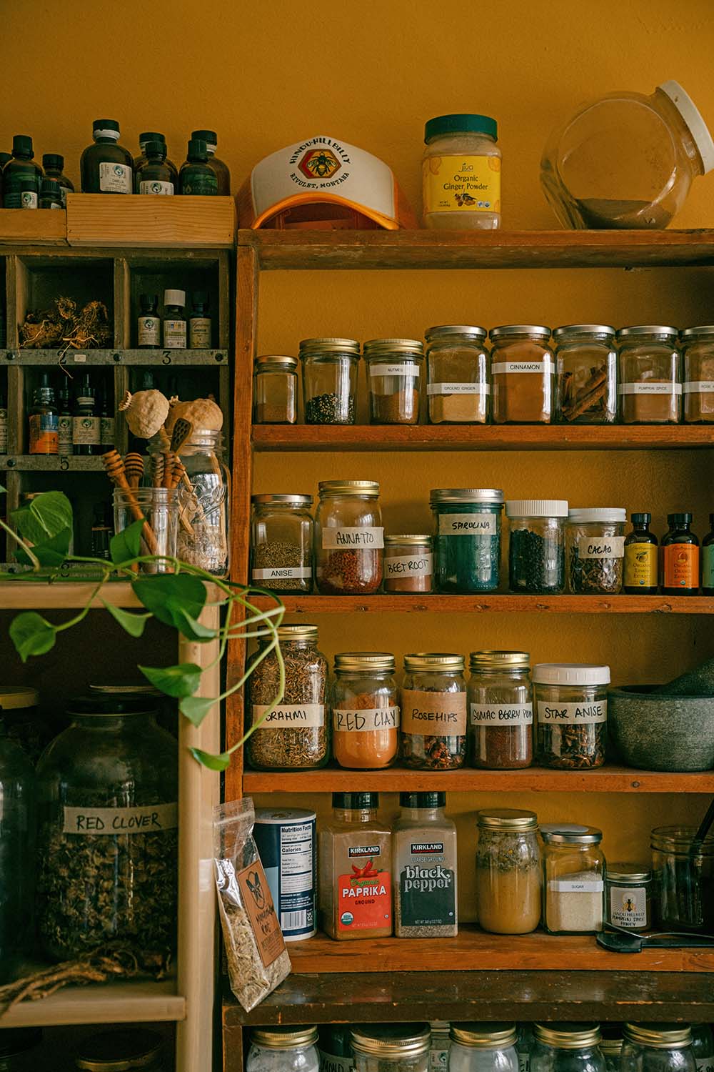herbs-in-jars.jpg