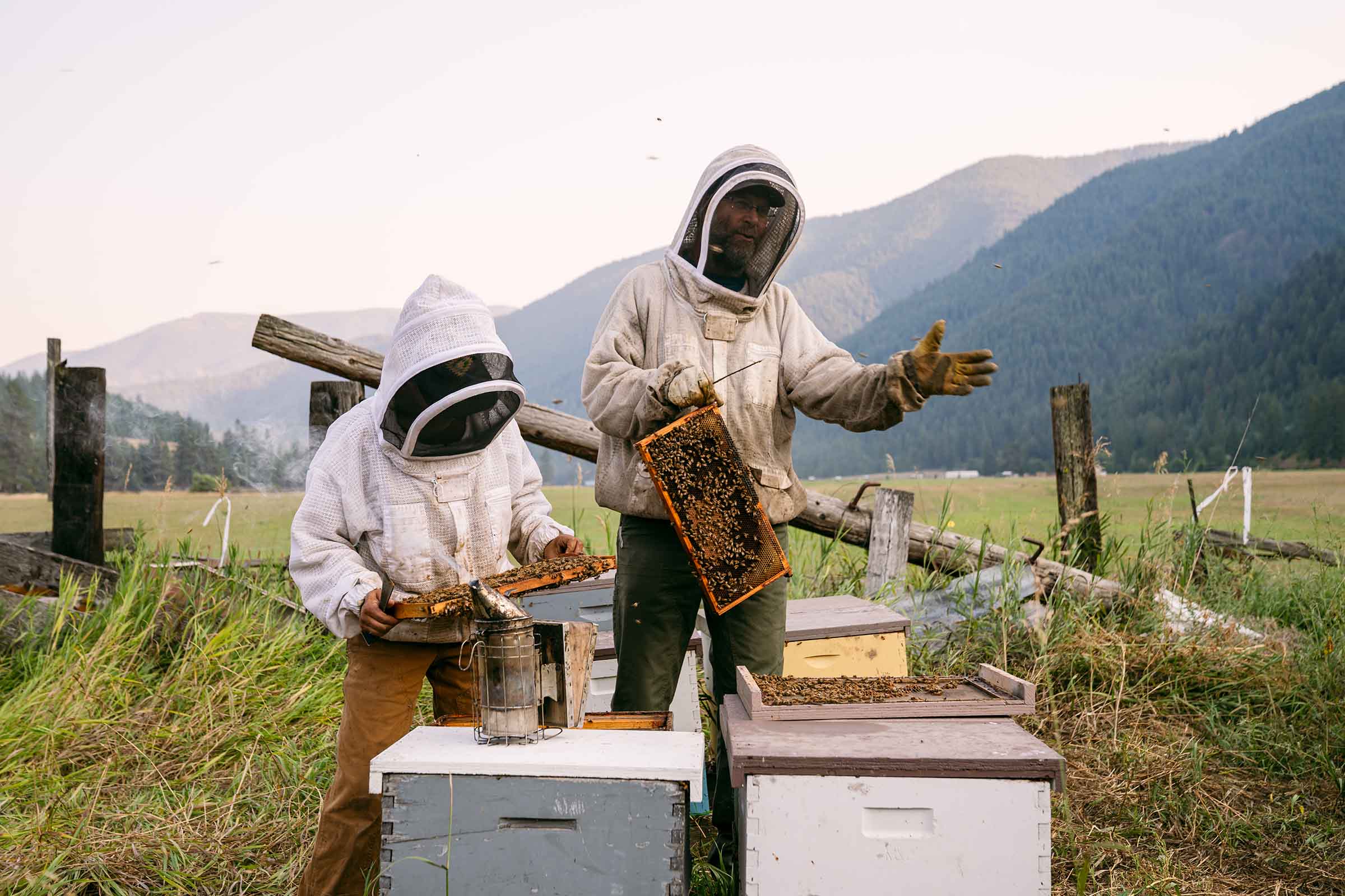 montana-bee-keepers.jpg