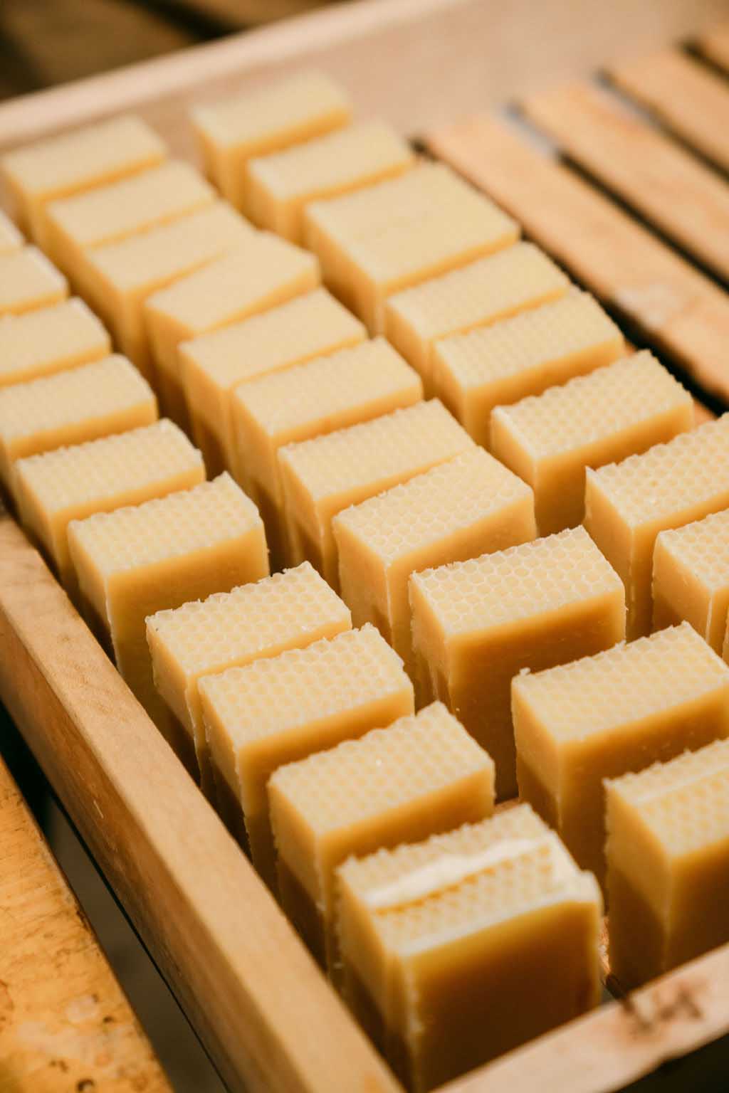 Square pieces of a light brown food item arranged in a grid on a wooden surface.