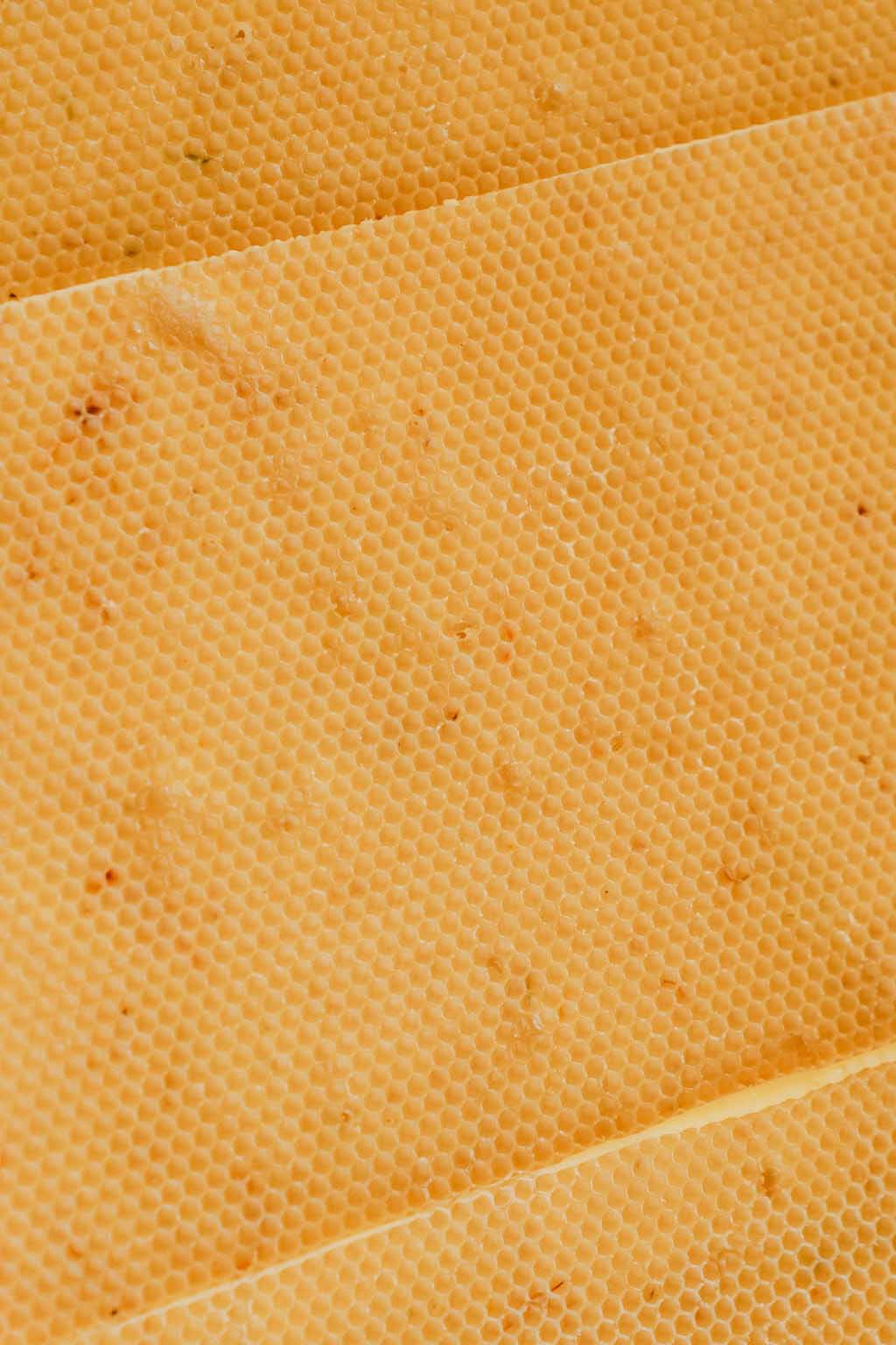 Close-up of a honeycomb structure with beeswax.