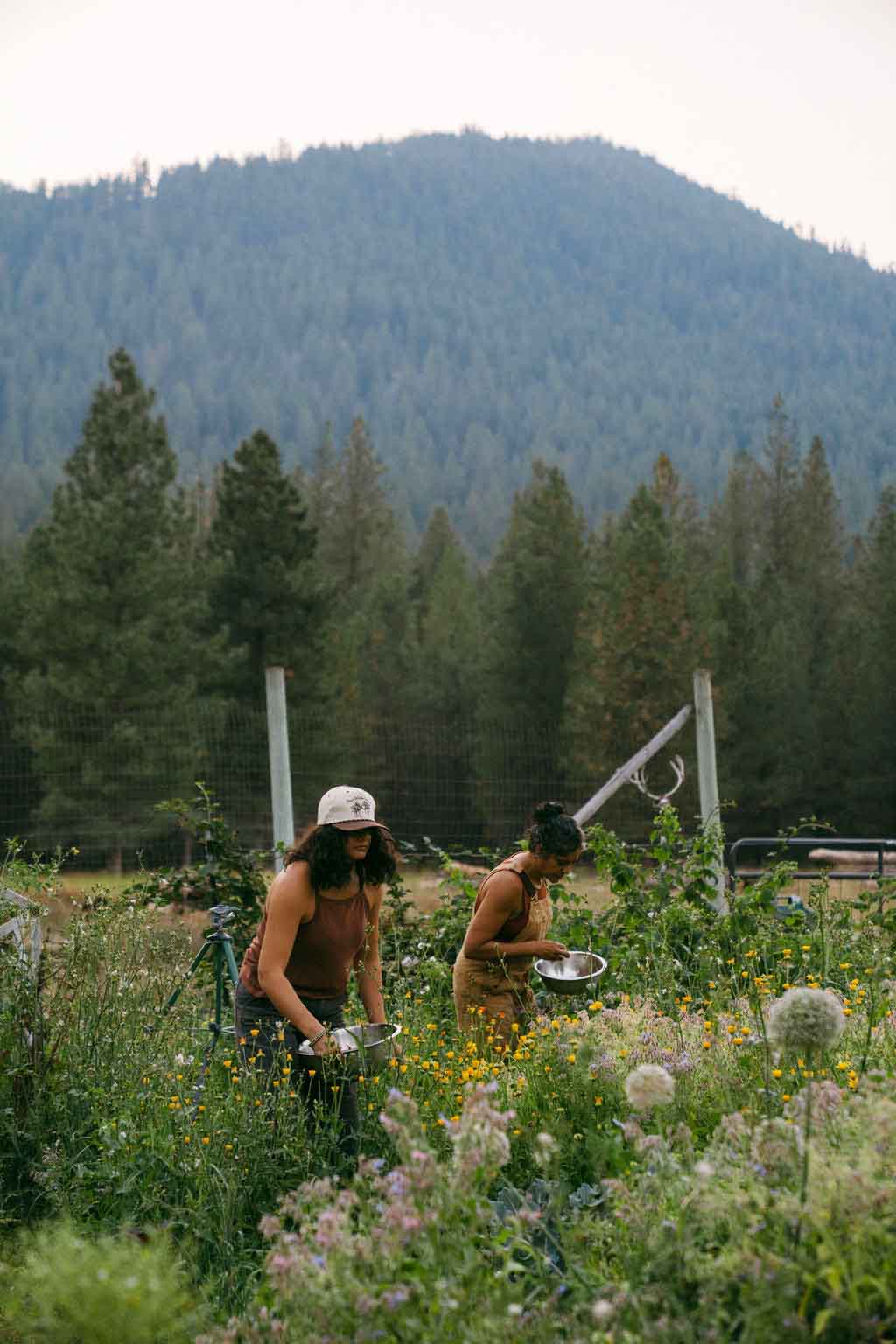 Two people in a field with mountains in the background